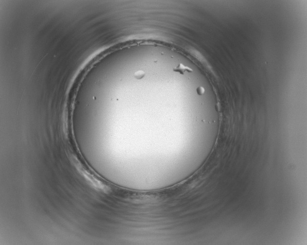 X0000082171076200702021720