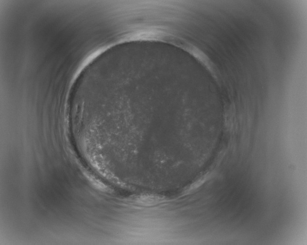 X0000082171077200702021720