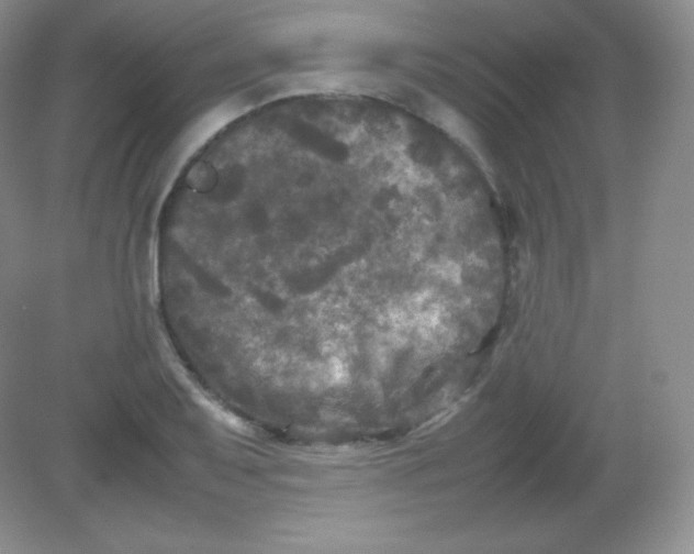 X0000082171079200702021720