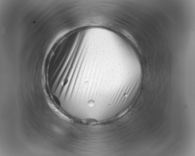 X0000082171080200702021720