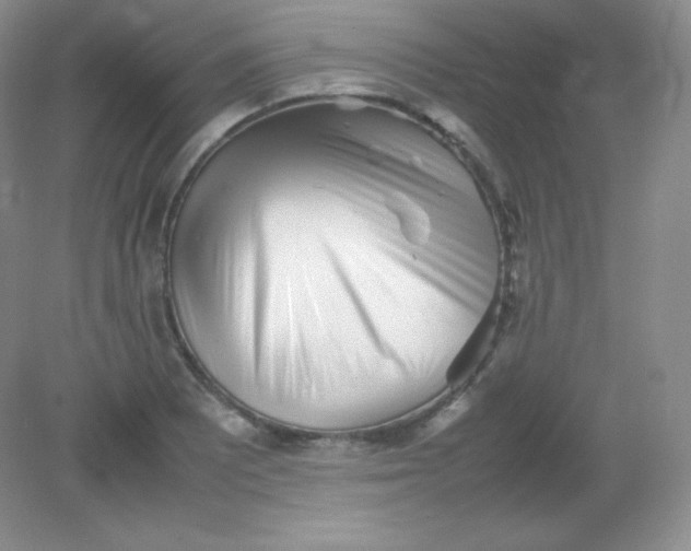 X0000082171081200702021720