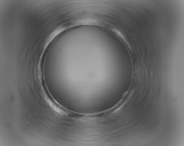 X0000082171082200702021720