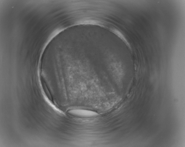 X0000082171084200702021720