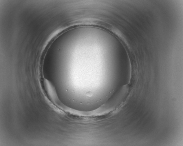 X0000082171085200702021720