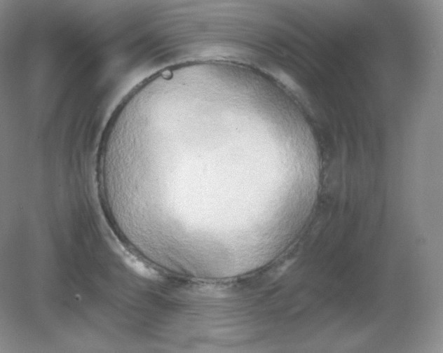 X0000082171086200702021720