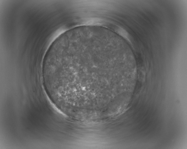 X0000082171087200702021720