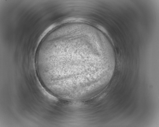 X0000082171090200702021720