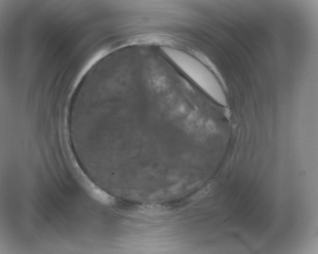 X0000082171091200702021720