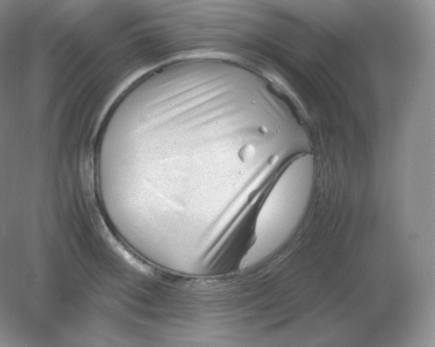 X0000082171092200702021720