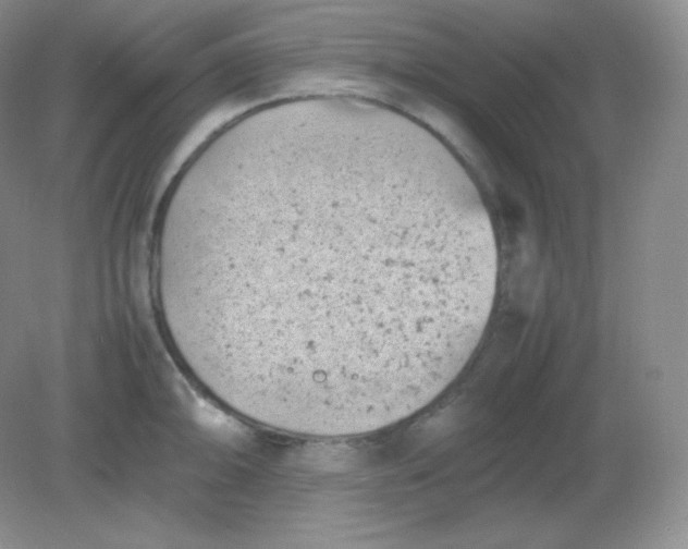 X0000082171094200702021720