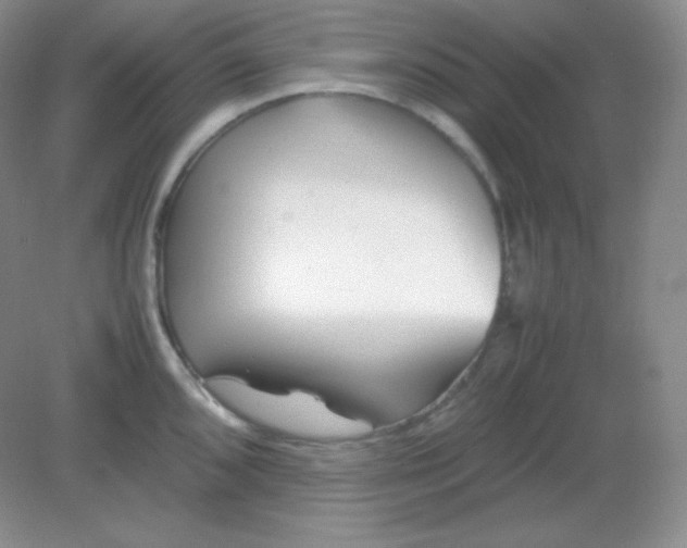 X0000082171096200702021720