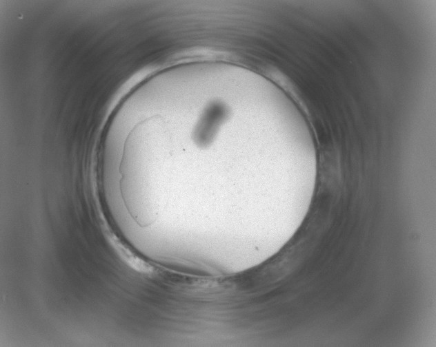 X0000082171098200702021720