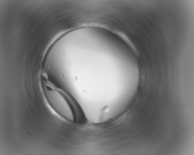 X0000082171100200702021720