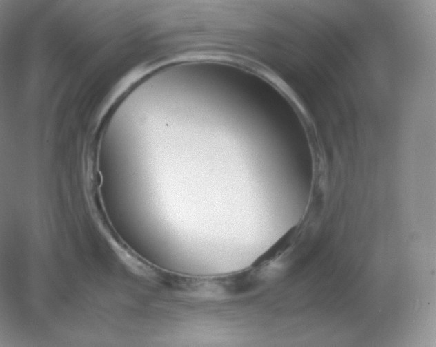 X0000082171101200702021720