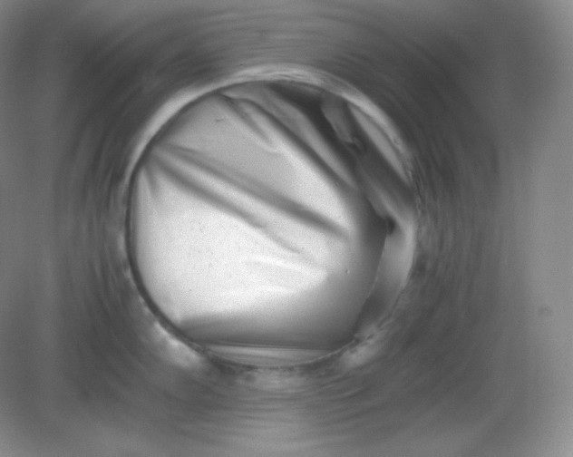 X0000082171102200702021720