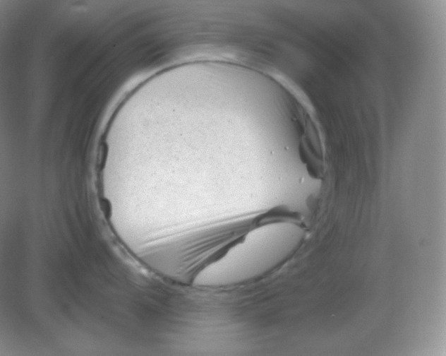 X0000082171104200702021720