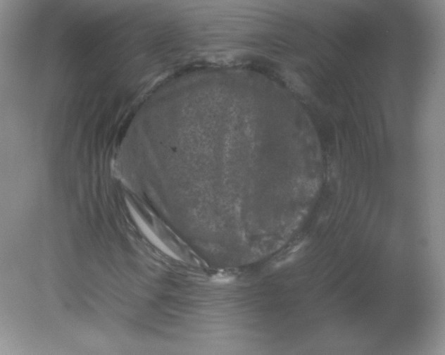 X0000082171106200702021719