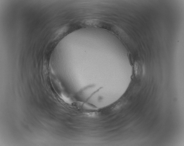 X0000082171107200702021719