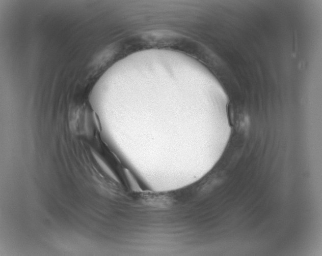 X0000082171108200702021719