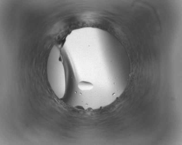 X0000082171109200702021719