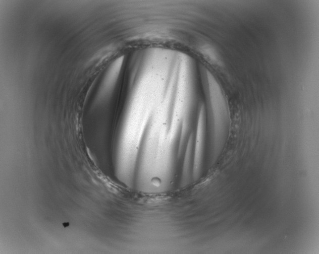 X0000082171110200702021719