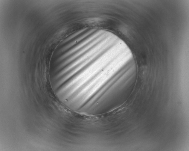 X0000082171111200702021719