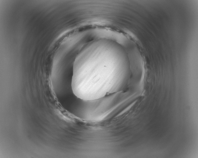 X0000082171112200702021719