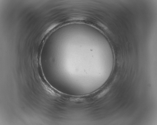 X0000082171113200702021719