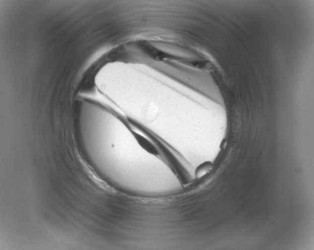 X0000082171114200702021719