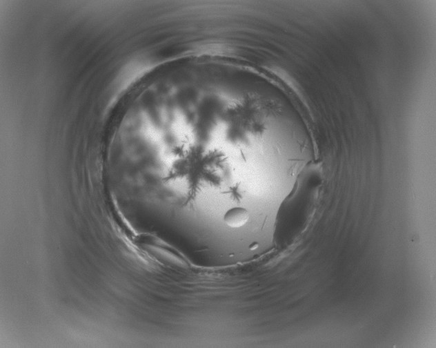 X0000082171115200702021719