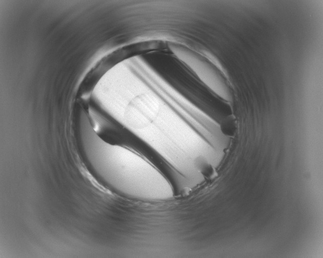 X0000082171116200702021719