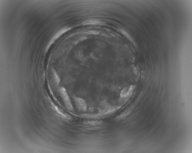 X0000082171117200702021719