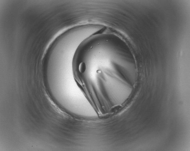 X0000082171118200702021719