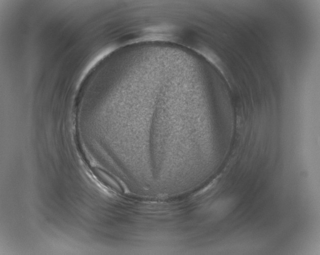 X0000082171119200702021719