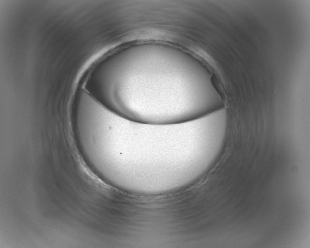 X0000082171120200702021719