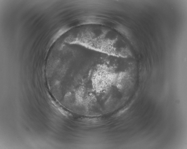 X0000082171121200702021719