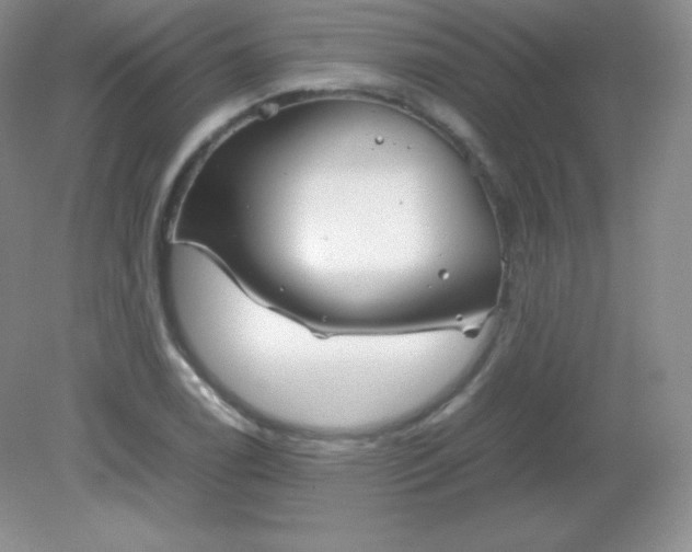 X0000082171122200702021719