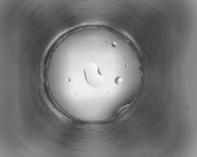 X0000082171124200702021719