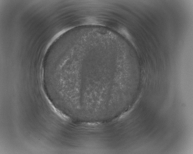 X0000082171125200702021719