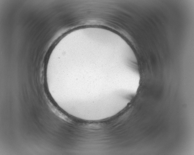 X0000082171126200702021720