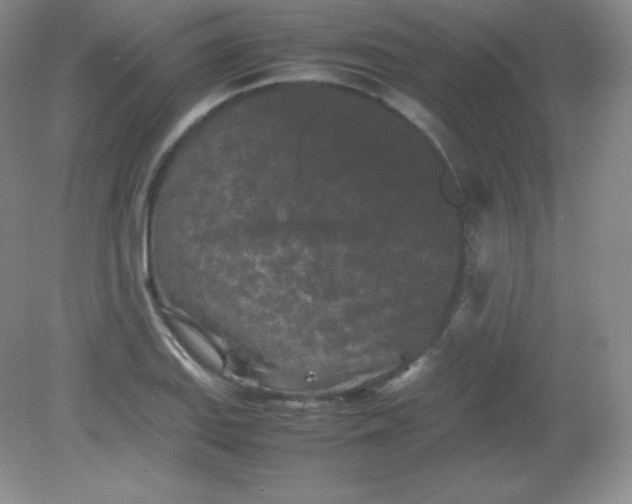 X0000082171127200702021720