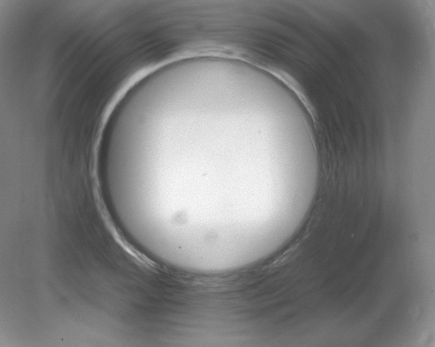 X0000082171128200702021720