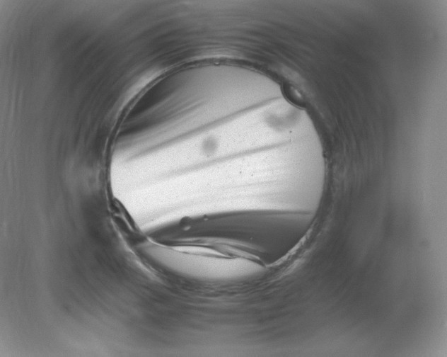 X0000082171129200702021720