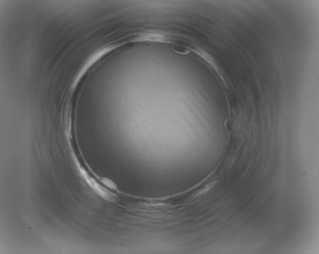 X0000082171131200702021720