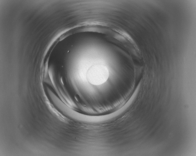 X0000082171132200702021720