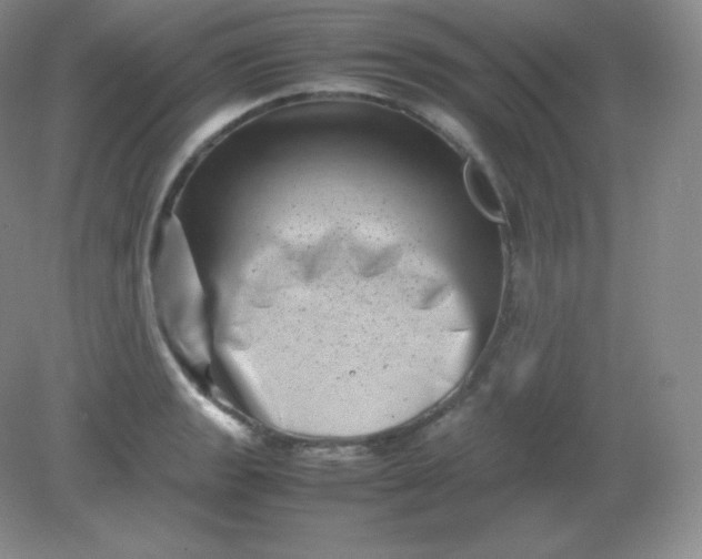 X0000082171133200702021720