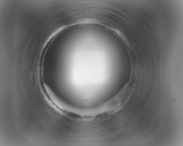 X0000082171134200702021720