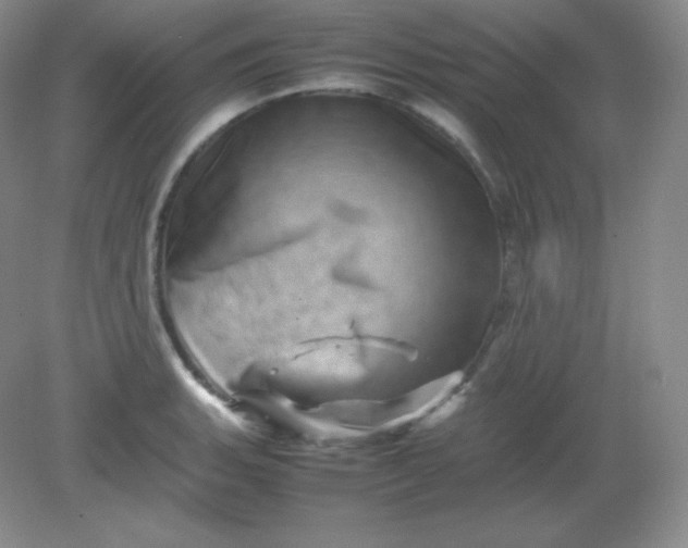 X0000082171135200702021720