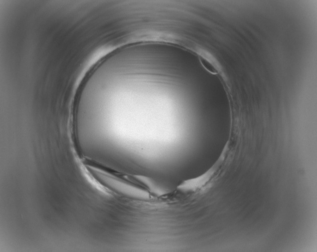 X0000082171136200702021720