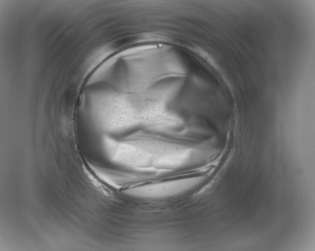 X0000082171137200702021720